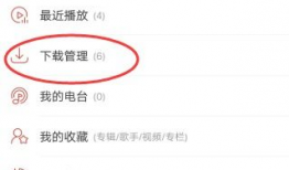 网易云音乐短视频保存,捕捉音乐瞬间，记录生活美好